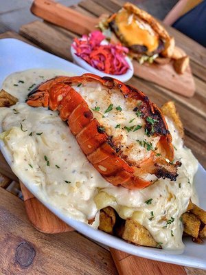 Rose Plaza Creole by null