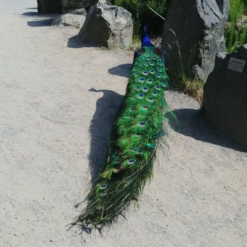 Skansen - Botanical Gardens Near Me - Stockholm, Alberta