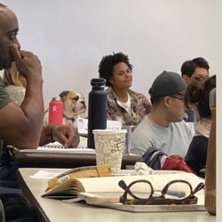 Kenny The Dog Walker - Henley the only doggy in the class at MIT she's studying microbiology a real genius