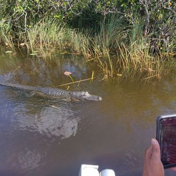 gator park - Boat Tours Near Me - Miami, Florida gator park - Boat Tours Near Me - Miami, Florida