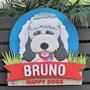 Photo of Bruno Happy Dogs