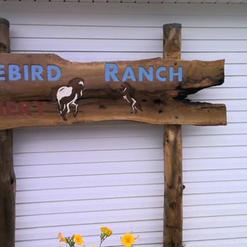 The Bluebird Ranch Winery - a wooden sign - Wineries Near Me - Clinton, Arkansas The Bluebird Ranch Winery - a wooden sign - Wineries Near Me - Clinton, Arkansas