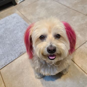 Barbie's Pet Salon - Trixzy - Pet Groomers Near Me - Santa Barbara, California