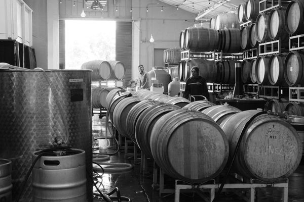 Madson Wines by null