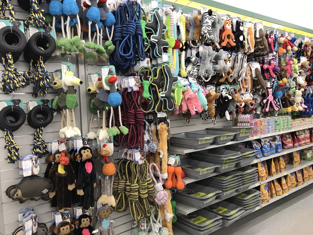 Are Dollarama Dog Toys Safe