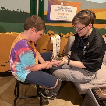 Butterfly Pavilion - Holding Goldie the tarantula. - Museums Near Me - Westminster, Colorado