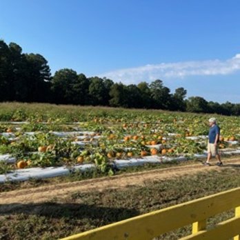 Page Farms - Fruits & Veggies Near Me - Raleigh, North Carolina Page Farms - Fruits & Veggies Near Me - Raleigh, North Carolina