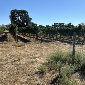Fenestra Winery - Wineries Near Me - Livermore, California Fenestra Winery - Wineries Near Me - Livermore, California