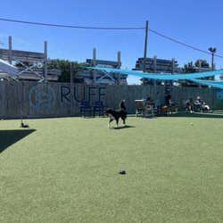 Ruff Canine Club