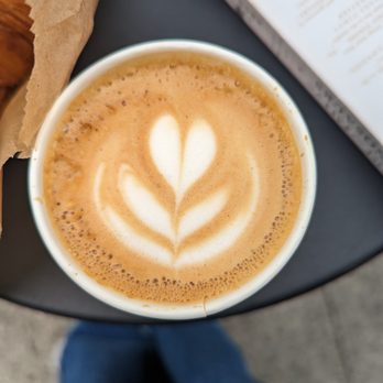 The Boy & The Bear - Latte Art: A+ - Coffee & Tea Near Me - Pasadena, California