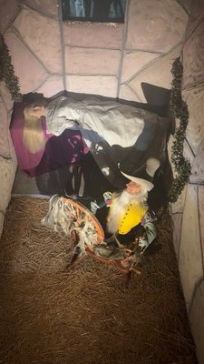 Josephine Tussaud Wax Museum by null