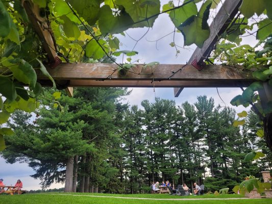 Shady Lane Cellars by null