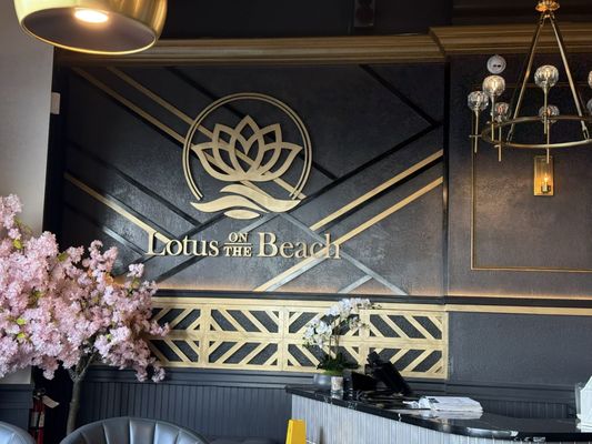 Lotus on The Beach by null