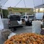 Feather River Farms