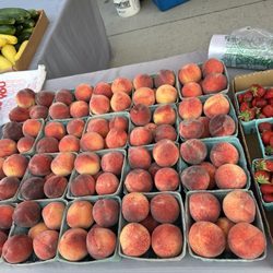 Beckner Orchards