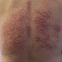 Holly Day Spa