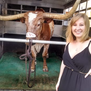 Goodall's Kitchen - Bevo was there! I'm not sure why. I wonder if he is a regular guest! - New American Near Me - Austin, Texas Goodall's Kitchen - Bevo was there! I'm not sure why. I wonder if he is a regular guest! - New American Near Me - Austin, Texas