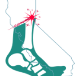 Foot Ankle & Lower Leg Specialists