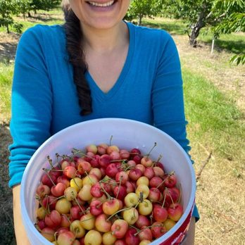 Thompson's Farm Market - Rainier cherries - Fruits & Veggies Near Me - Naches, Washington