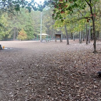 Millbrook Exchange Dog Park - First look inside the park - Dog Parks Near Me - Raleigh, North Carolina Millbrook Exchange Dog Park - First look inside the park - Dog Parks Near Me - Raleigh, North Carolina