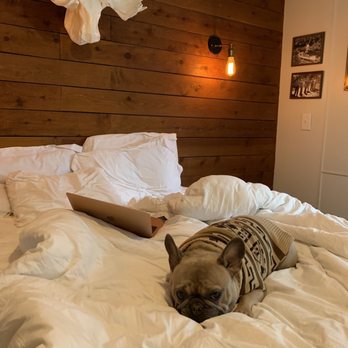 Noon Lodge at Mallard Bay - Getting comfy at Noon Lodge! 9 degrees and snowing outside , bundled up with fireplace going - Big Bear Lake, CA
