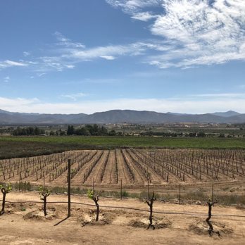 Perfect Pour Excursions - Wine Tours Near Me Perfect Pour Excursions - Wine Tours Near Me