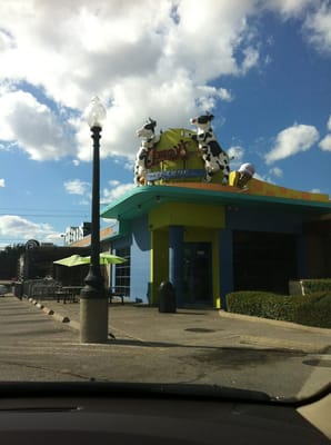 Amy's Ice Creams by null