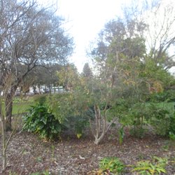 Horsham Botanical Gardens - Garden