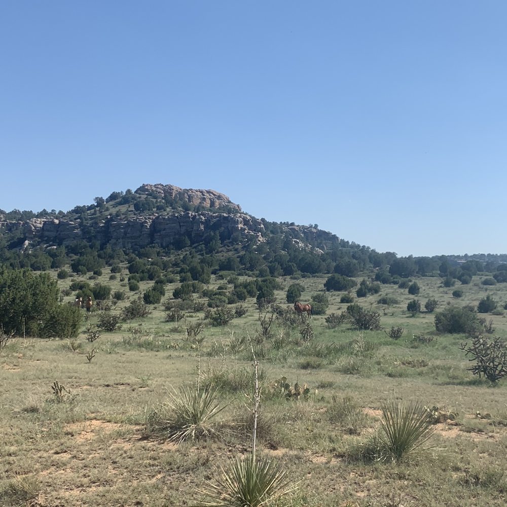 Hitching Post Lodging - Horseback Riding Near Me - Kenton, Oklahoma