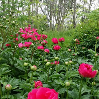 Lauritzen Gardens - Venues & Event Spaces Near Me - Omaha, Nebraska Lauritzen Gardens - Venues & Event Spaces Near Me - Omaha, Nebraska