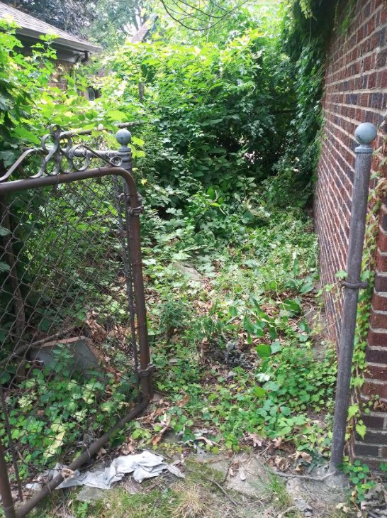 Quinn's Quality Lawn Care - tree service in Detroit, MI