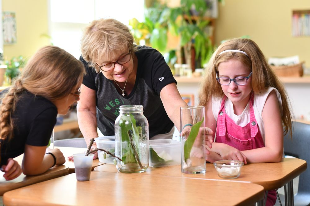 West Side Montessori - childcare center in Toledo, OH