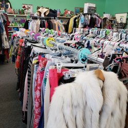 The crazy calico - Inside the store