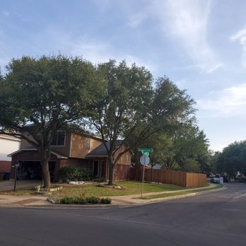 Austin Tree Patrol Services - Tree Services Near Me - Austin, Texas