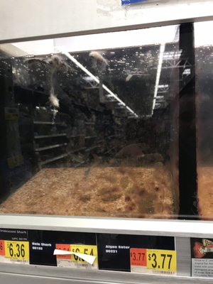 Walmart by null