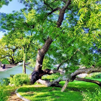 Stagecoach Restaurant - Nice old tree in the back. Has some Indian history. - Venues & Event Spaces Near Me - Salado, Texas Stagecoach Restaurant - Nice old tree in the back. Has some Indian history. - Venues & Event Spaces Near Me - Salado, Texas