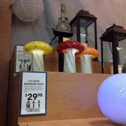Lowe's Home Improvement - Mushrooms are pretty