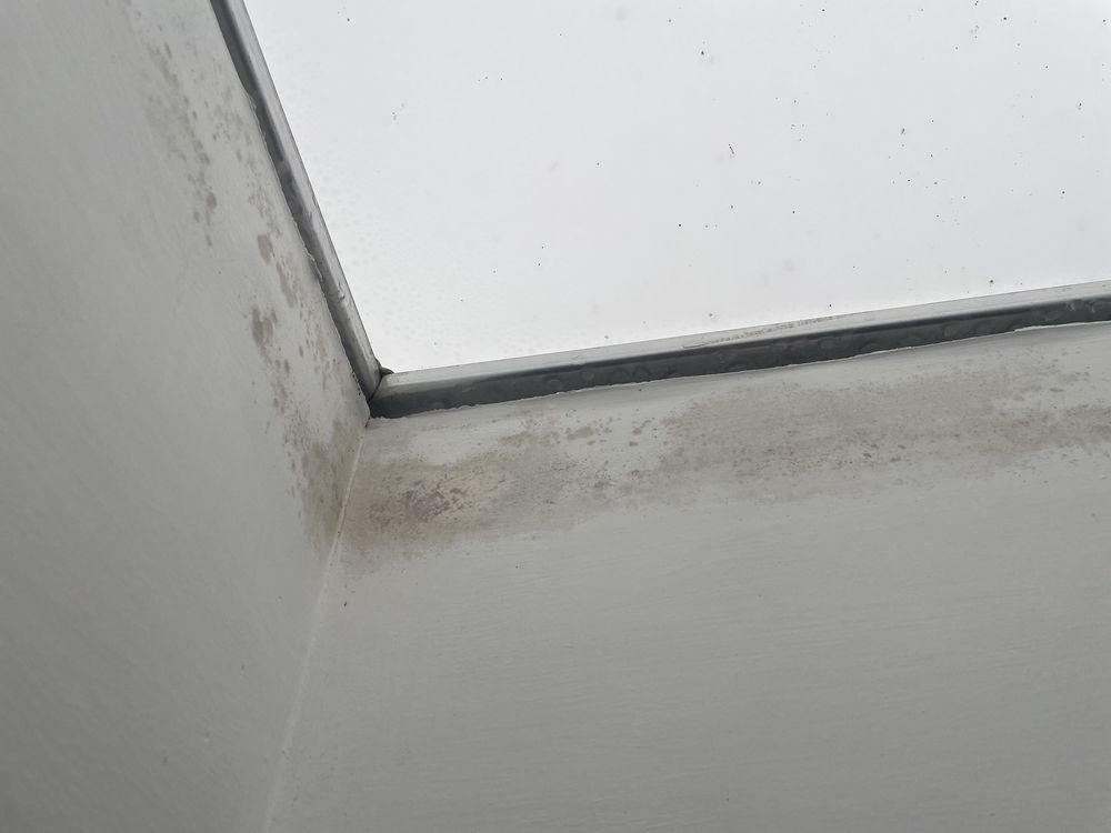 Slide of The Roofing Lady