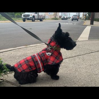 Bark N Purr - Pet Groomers Near Me - Teaneck, New Jersey