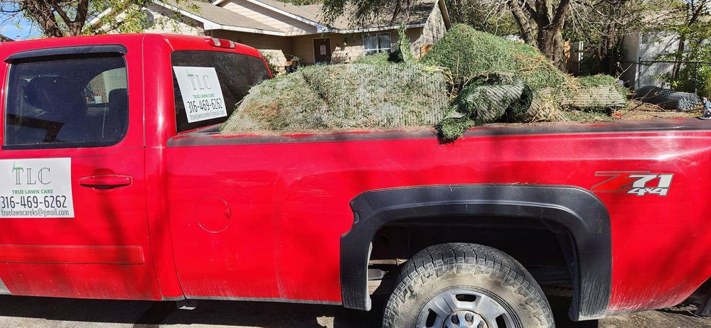 True Lawn Care - tree service in Wichita, KS