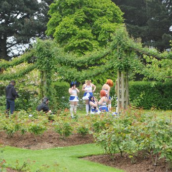 Queen Mary's Garden - photo shoot in the par - Botanical Gardens Near Me - London, XGL