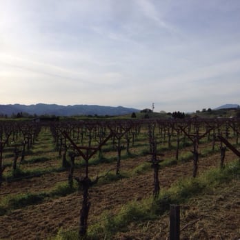 Frog's Leap Winery - Wineries Near Me - Rutherford, California Frog's Leap Winery - Wineries Near Me - Rutherford, California