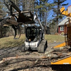 Tip Top Tree Service - Safely removed large, overhanging branches. Cleared debris and chipped the branches on-site for efficient disposal.