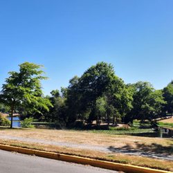 Lake Sacajawea Park Japanese Gardens
