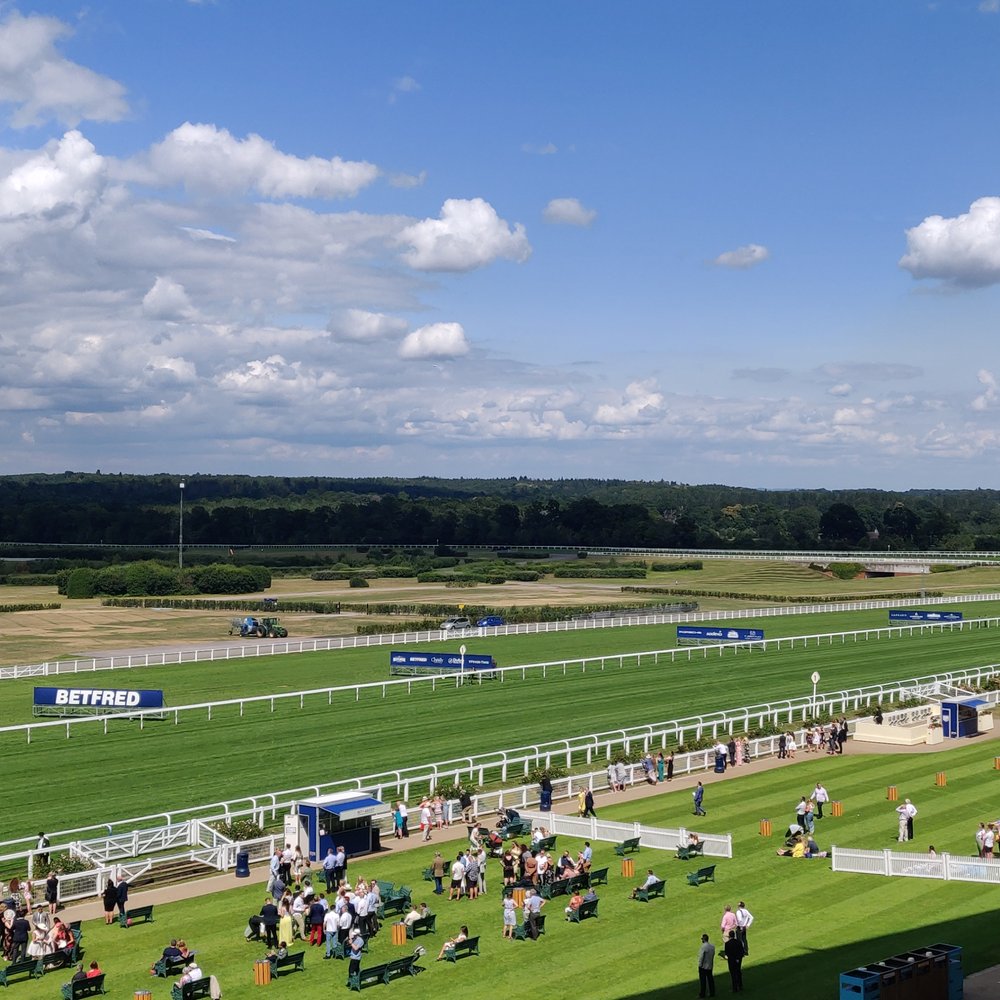 Ascot Racecourse - Horseback Riding Near Me - Bracknell Forest, WNM