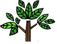 Green Environments - mold inspector in Portsmouth, VA