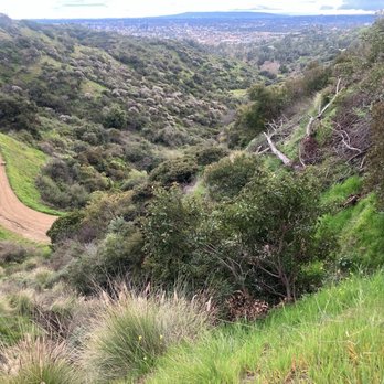 Griffith Park - Trails - Parks Near Me - Los Angeles, California