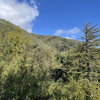 Pfeiffer Big Sur State Park - On the pfeiffer falls hike - gorgeous hike! Only 1.3 miles each way - Parks Near Me Pfeiffer Big Sur State Park - On the pfeiffer falls hike - gorgeous hike! Only 1.3 miles each way - Parks Near Me