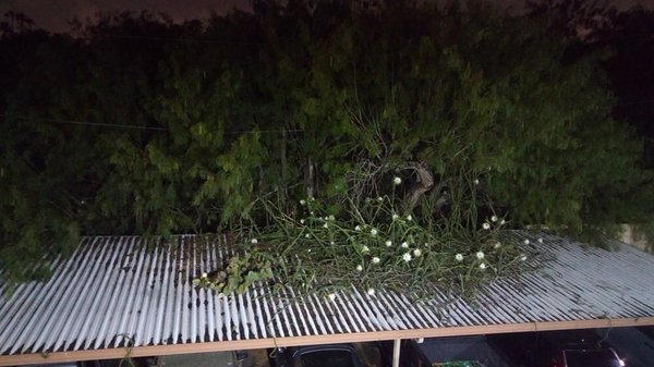 Plaza Royale Apartments