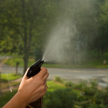 Your Home Detox - Home Cleaning Near Me Your Home Detox - Home Cleaning Near Me